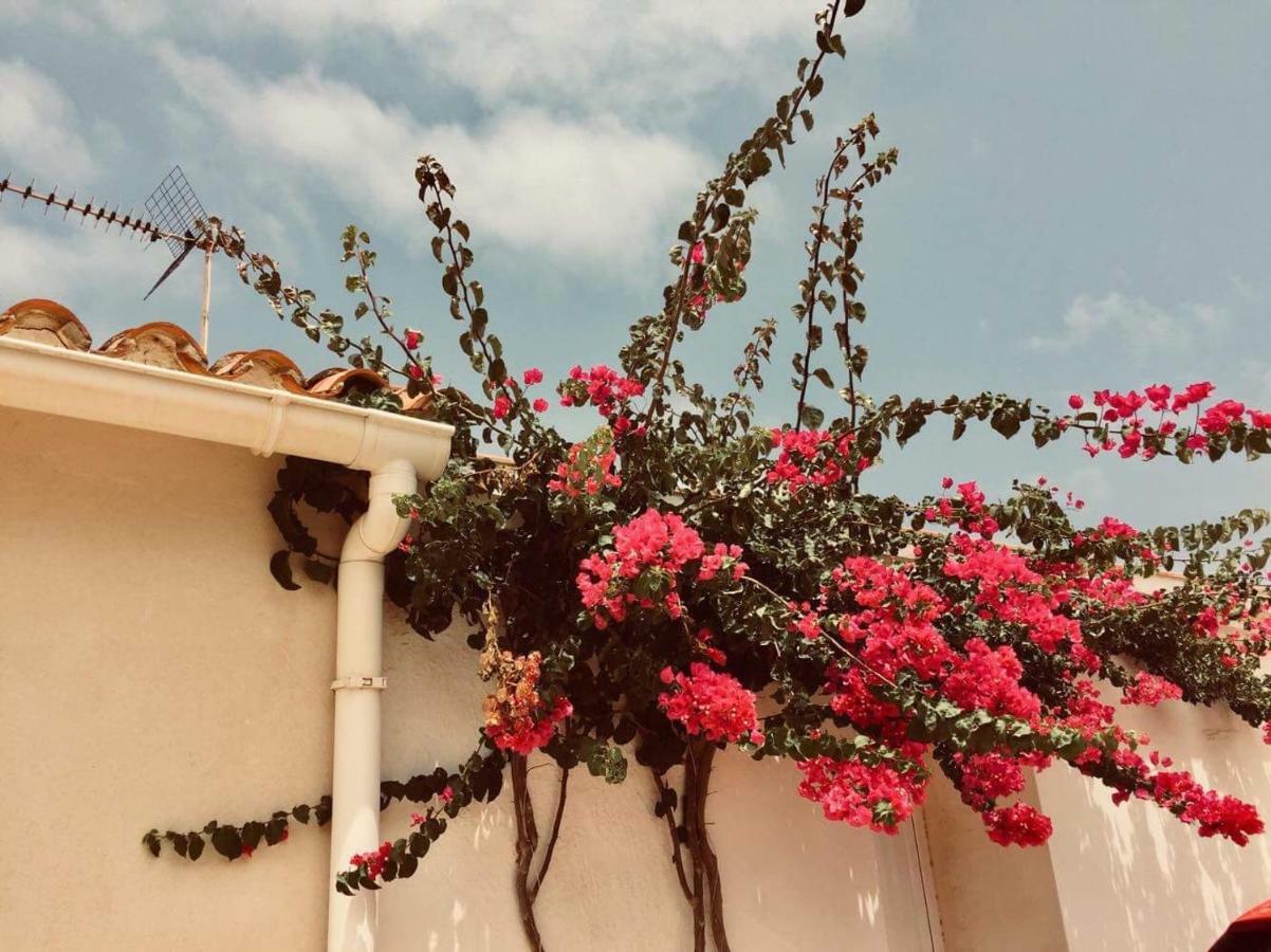 דניה Lovely Apartment Old Town מראה חיצוני תמונה